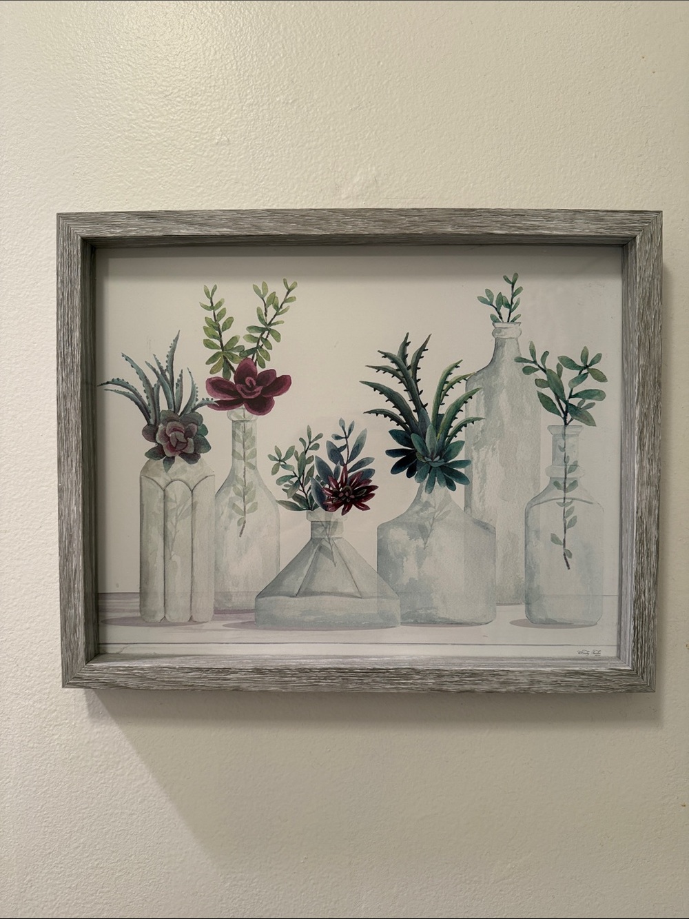 Framed Botanical Succulent Still Life Wall Art - Gray Frame 15x12”